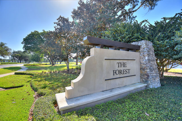 The Forest